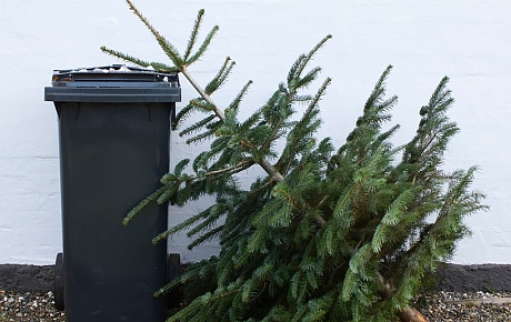 Свердловские регоператоры по обращению с ТКО приступают к массовой уборке новогодних елок 